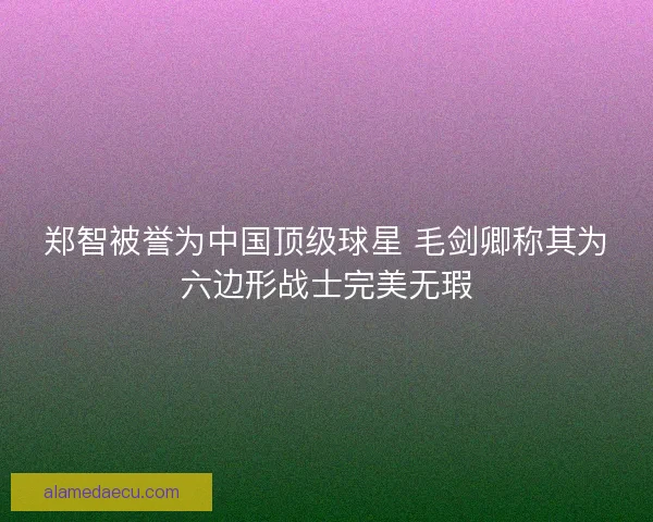 郑智被誉为中国顶级球星 毛剑卿称其为六边形战士完美无瑕