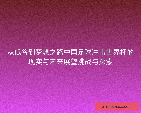 从低谷到梦想之路中国足球冲击世界杯的现实与未来展望挑战与探索